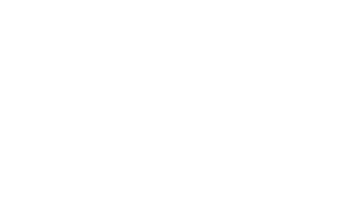 Magnum Dent